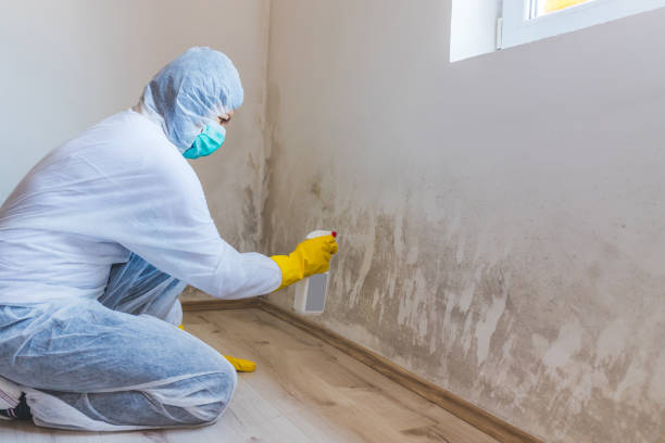 Licensed Mold Cleanup service in Unionville, PA - WQB Mold Removal